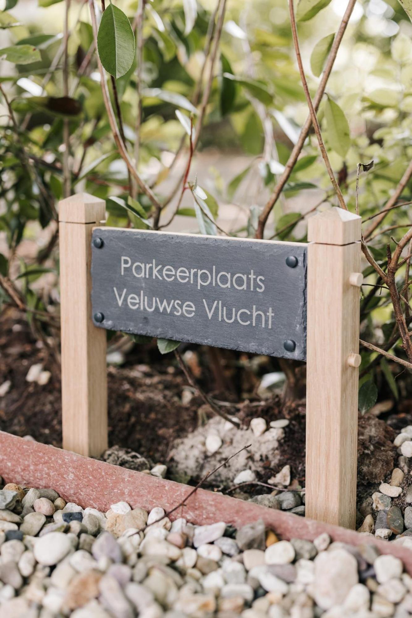 Tiny House Veluwse Vlucht